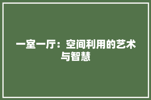 一室一厅：空间利用的艺术与智慧