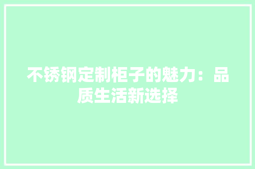 不锈钢定制柜子的魅力：品质生活新选择