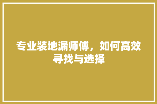 专业装地漏师傅，如何高效寻找与选择