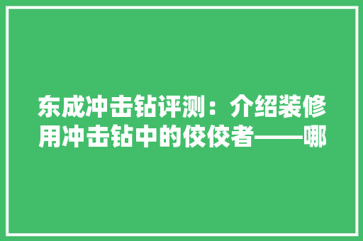 东成冲击钻评测：介绍装修用冲击钻中的佼佼者——哪款最适合你