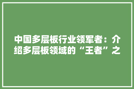 中国多层板行业领军者：介绍多层板领域的“王者”之路