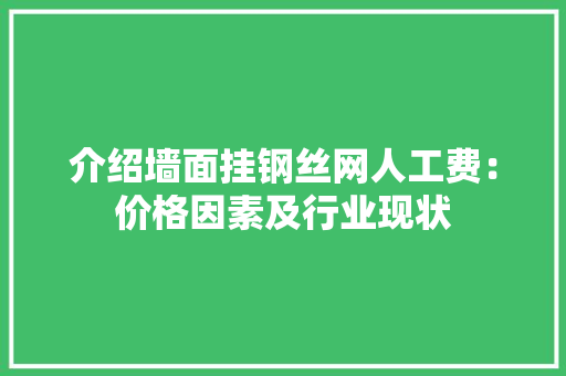 介绍墙面挂钢丝网人工费：价格因素及行业现状