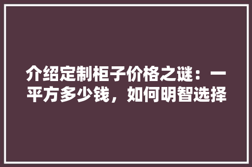 介绍定制柜子价格之谜：一平方多少钱，如何明智选择