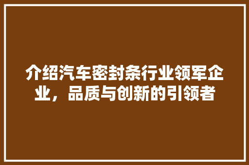 介绍汽车密封条行业领军企业，品质与创新的引领者