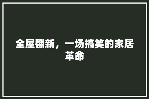 全屋翻新，一场搞笑的家居革命 家居装修