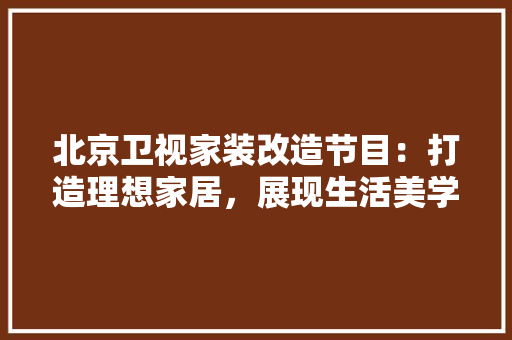 北京卫视家装改造节目：打造理想家居，展现生活美学 现代风格装饰