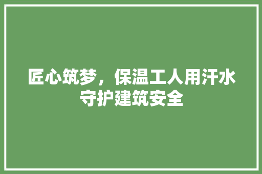 匠心筑梦，保温工人用汗水守护建筑安全 木雕艺术