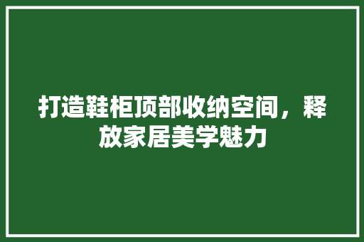打造鞋柜顶部收纳空间，释放家居美学魅力