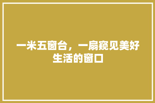 一米五窗台，一扇窥见美好生活的窗口
