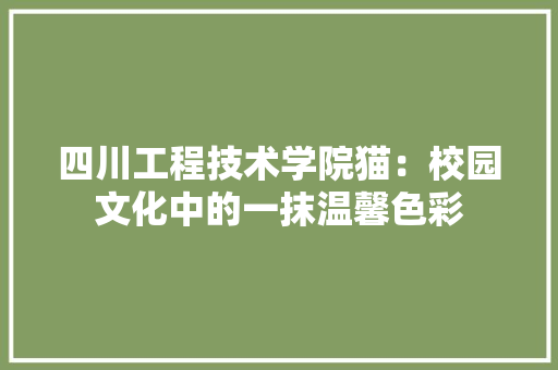 四川工程技术学院猫：校园文化中的一抹温馨色彩 卧室装修
