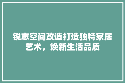 锐志空间改造打造独特家居艺术，焕新生活品质