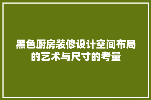 黑色厨房装修设计空间布局的艺术与尺寸的考量