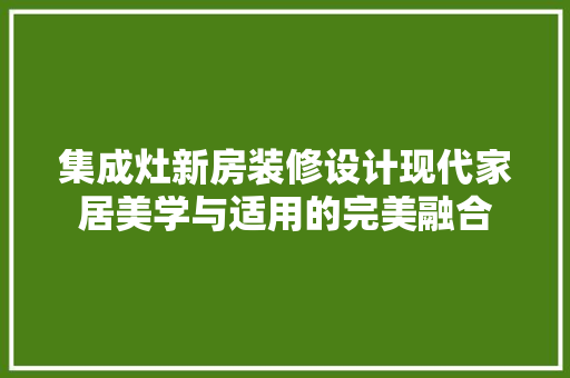 集成灶新房装修设计现代家居美学与适用的完美融合