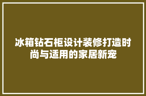 冰箱钻石柜设计装修打造时尚与适用的家居新宠