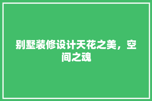 别墅装修设计天花之美，空间之魂