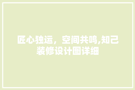 匠心独运，空间共鸣,知己装修设计图详细