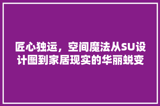匠心独运，空间魔法从SU设计图到家居现实的华丽蜕变