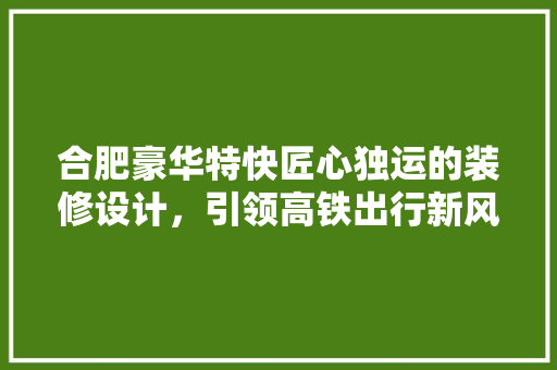合肥豪华特快匠心独运的装修设计，引领高铁出行新风尚
