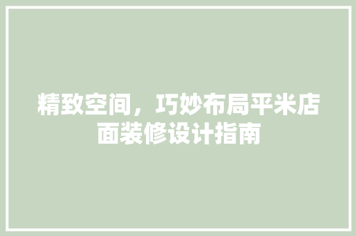 精致空间，巧妙布局平米店面装修设计指南