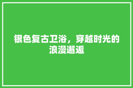 银色复古卫浴，穿越时光的浪漫邂逅