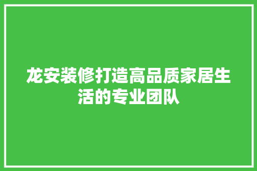 龙安装修打造高品质家居生活的专业团队