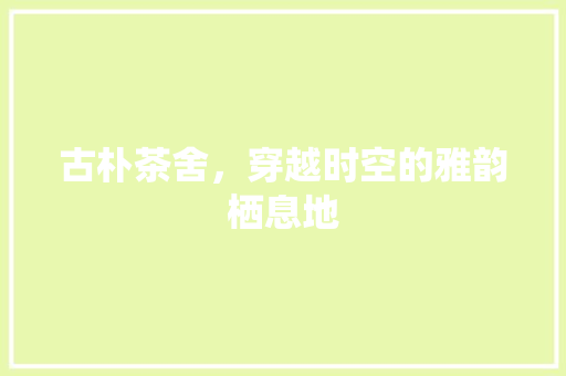 古朴茶舍，穿越时空的雅韵栖息地