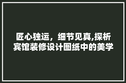 匠心独运，细节见真,探析宾馆装修设计图纸中的美学与适用