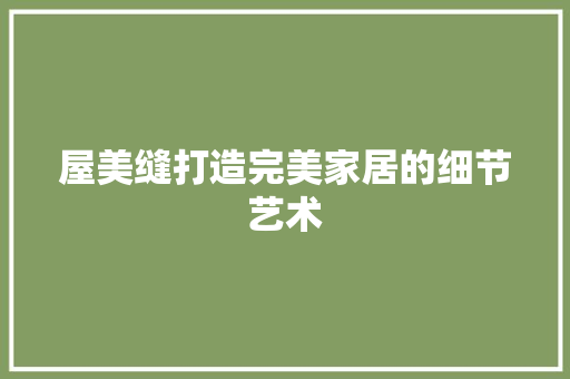 屋美缝打造完美家居的细节艺术