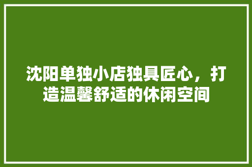 沈阳单独小店独具匠心，打造温馨舒适的休闲空间
