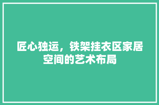 匠心独运，铁架挂衣区家居空间的艺术布局
