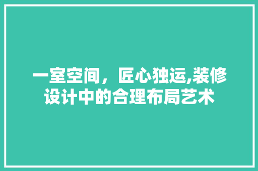 一室空间，匠心独运,装修设计中的合理布局艺术