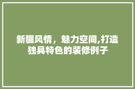 新疆风情，魅力空间,打造独具特色的装修例子