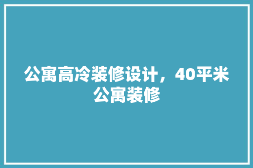 公寓高冷装修设计，40平米公寓装修