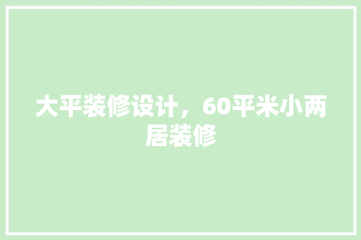 大平装修设计，60平米小两居装修