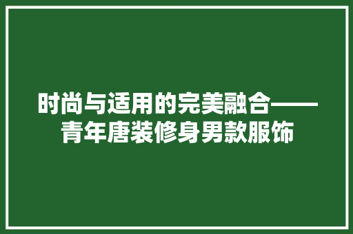 时尚与适用的完美融合——青年唐装修身男款服饰