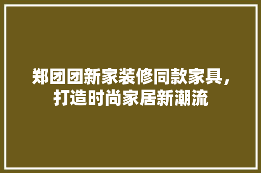 郑团团新家装修同款家具，打造时尚家居新潮流