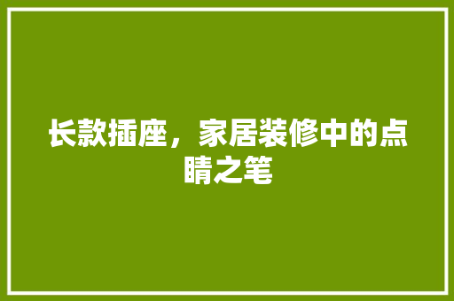 长款插座，家居装修中的点睛之笔