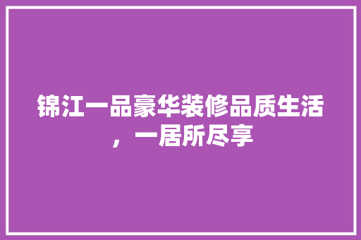 锦江一品豪华装修品质生活，一居所尽享