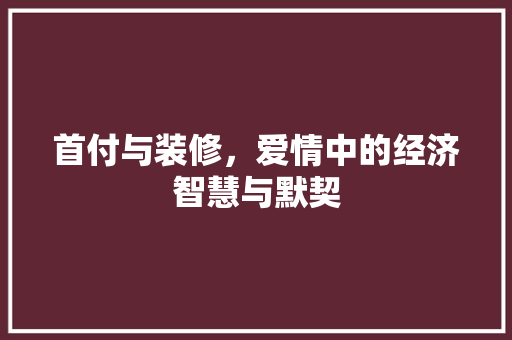 首付与装修，爱情中的经济智慧与默契