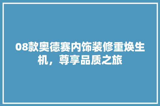 08款奥德赛内饰装修重焕生机，尊享品质之旅