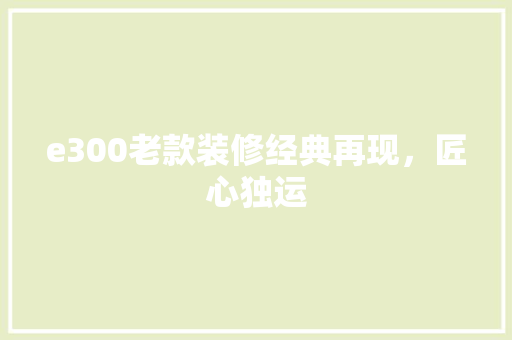 e300老款装修经典再现，匠心独运