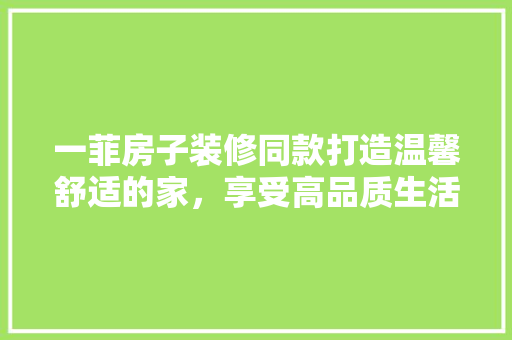 一菲房子装修同款打造温馨舒适的家，享受高品质生活