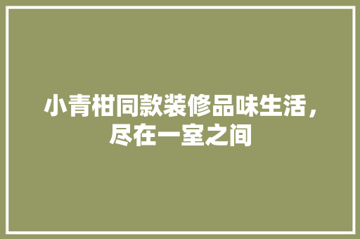 小青柑同款装修品味生活，尽在一室之间