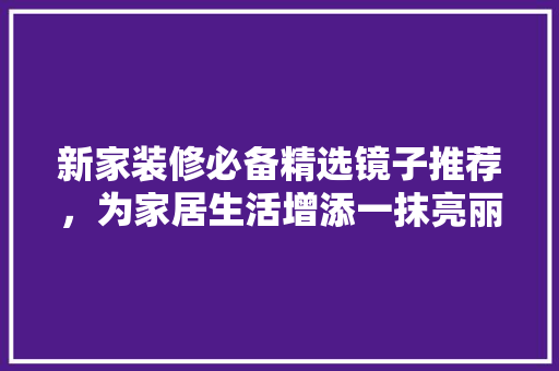 新家装修必备精选镜子推荐，为家居生活增添一抹亮丽