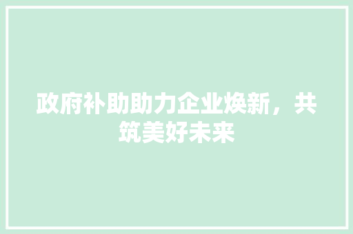 政府补助助力企业焕新，共筑美好未来