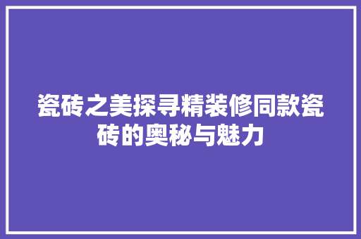 瓷砖之美探寻精装修同款瓷砖的奥秘与魅力