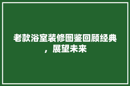 老款浴室装修图鉴回顾经典，展望未来