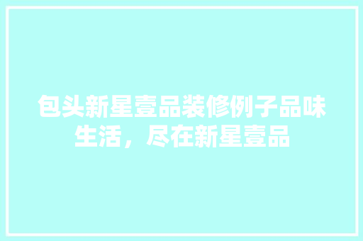包头新星壹品装修例子品味生活，尽在新星壹品