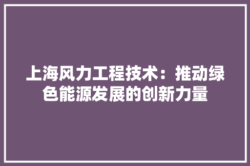 上海风力工程技术：推动绿色能源发展的创新力量 家居装修