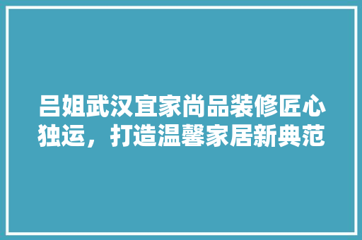 吕姐武汉宜家尚品装修匠心独运，打造温馨家居新典范